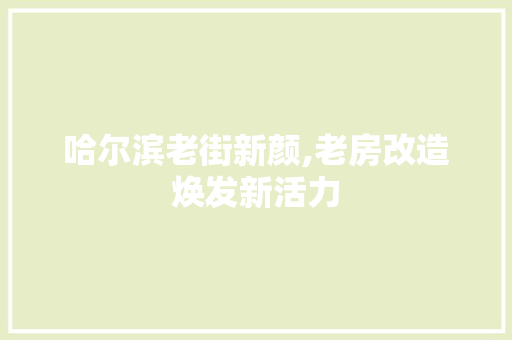 哈尔滨老街新颜,老房改造焕发新活力