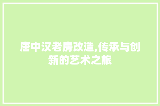 唐中汉老房改造,传承与创新的艺术之旅 建筑设计