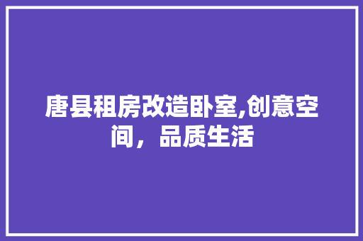 唐县租房改造卧室,创意空间，品质生活 装修攻略