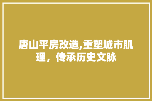 唐山平房改造,重塑城市肌理，传承历史文脉 门窗装修