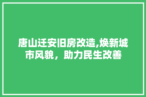 唐山迁安旧房改造,焕新城市风貌，助力民生改善
