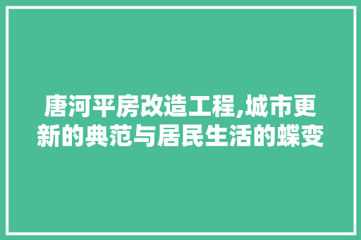 唐河平房改造工程,城市更新的典范与居民生活的蝶变 建筑设计