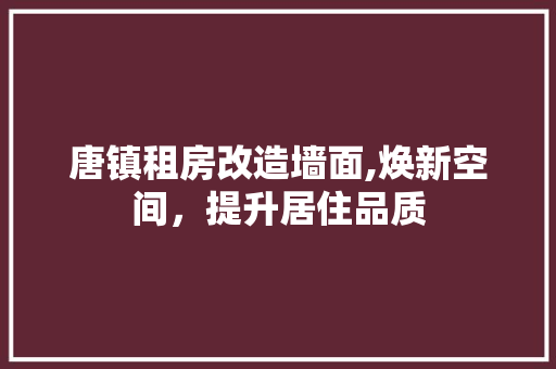 唐镇租房改造墙面,焕新空间，提升居住品质