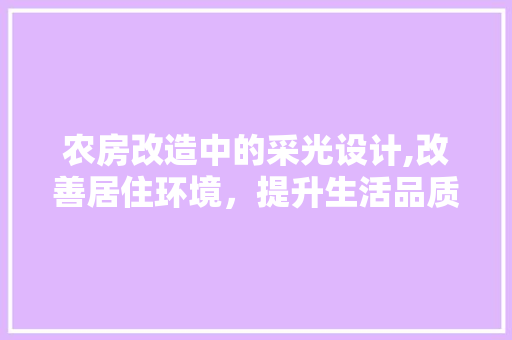 农房改造中的采光设计,改善居住环境，提升生活品质