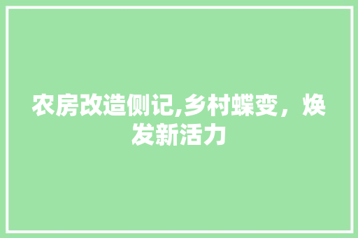 农房改造侧记,乡村蝶变，焕发新活力