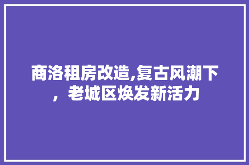 商洛租房改造,复古风潮下，老城区焕发新活力 建筑设计