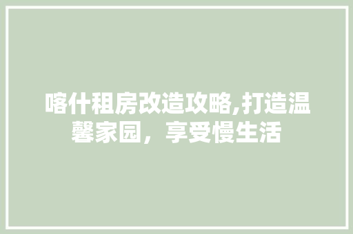 喀什租房改造攻略,打造温馨家园，享受慢生活