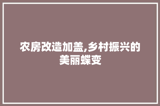农房改造加盖,乡村振兴的美丽蝶变