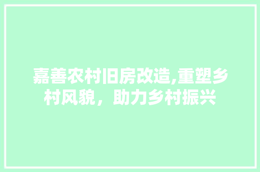 嘉善农村旧房改造,重塑乡村风貌，助力乡村振兴 景观设计