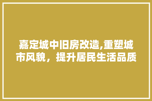 嘉定城中旧房改造,重塑城市风貌，提升居民生活品质