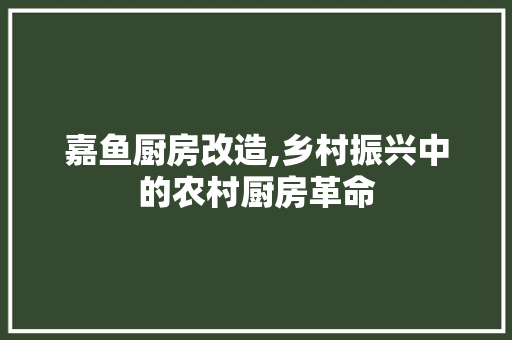嘉鱼厨房改造,乡村振兴中的农村厨房革命