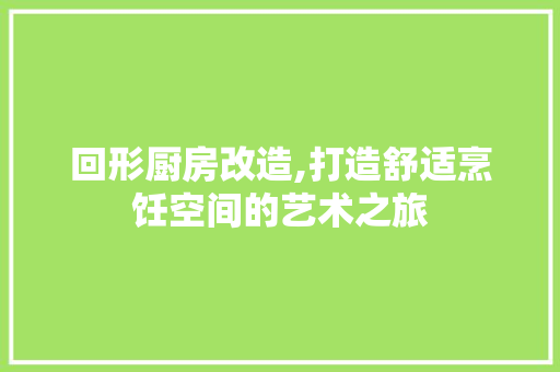 回形厨房改造,打造舒适烹饪空间的艺术之旅
