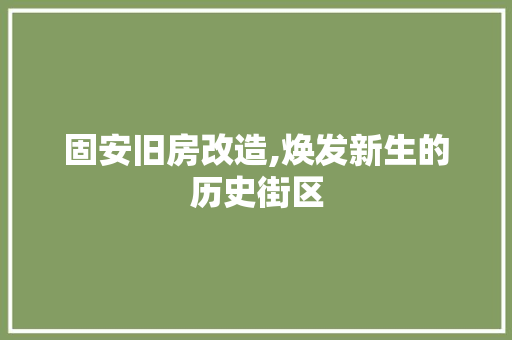 固安旧房改造,焕发新生的历史街区 建筑设计