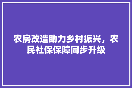农房改造助力乡村振兴，农民社保保障同步升级
