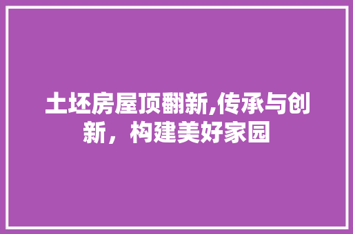 土坯房屋顶翻新,传承与创新，构建美好家园 地面装修