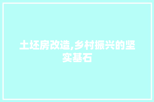 土坯房改造,乡村振兴的坚实基石