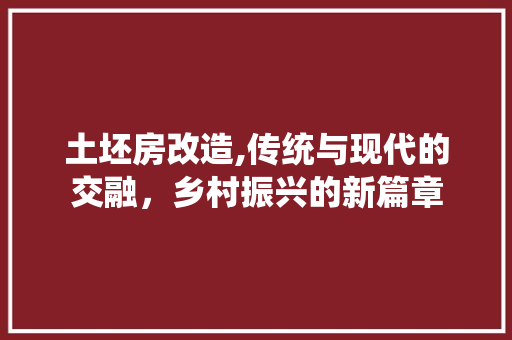 土坯房改造,传统与现代的交融，乡村振兴的新篇章
