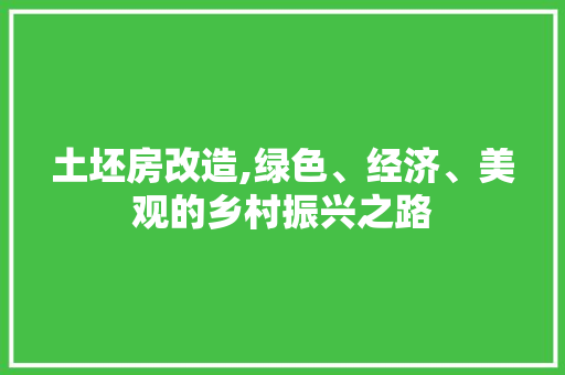 土坯房改造,绿色、经济、美观的乡村振兴之路