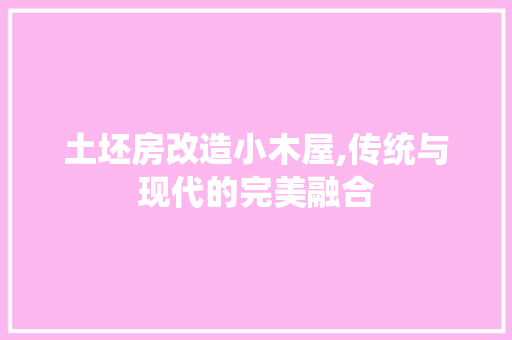 土坯房改造小木屋,传统与现代的完美融合