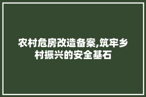 农村危房改造备案,筑牢乡村振兴的安全基石