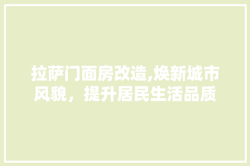 拉萨门面房改造,焕新城市风貌，提升居民生活品质