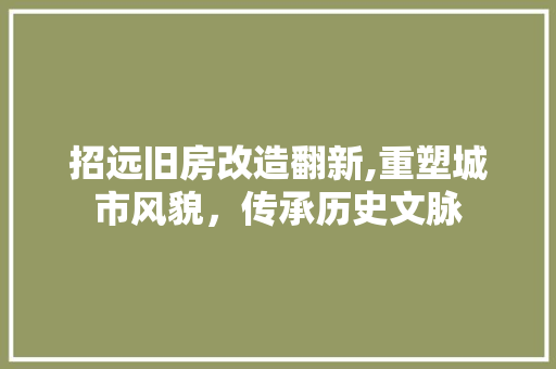 招远旧房改造翻新,重塑城市风貌，传承历史文脉