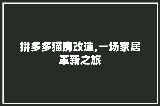 拼多多猫房改造,一场家居革新之旅