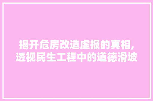 揭开危房改造虚报的真相,透视民生工程中的道德滑坡
