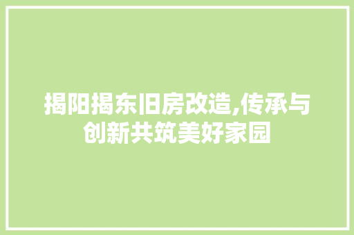 揭阳揭东旧房改造,传承与创新共筑美好家园