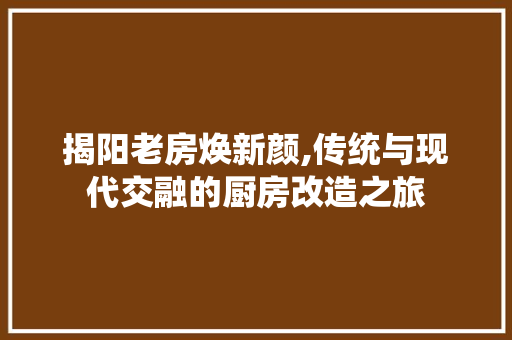 揭阳老房焕新颜,传统与现代交融的厨房改造之旅