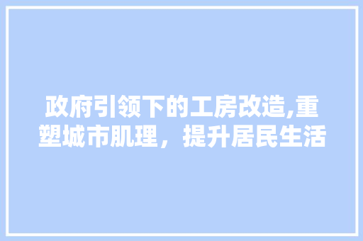 政府引领下的工房改造,重塑城市肌理，提升居民生活品质 墙面装饰