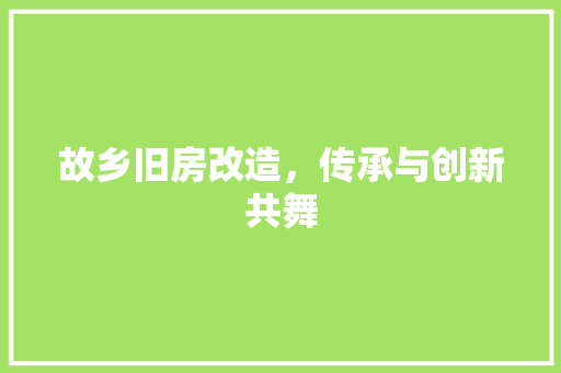 故乡旧房改造，传承与创新共舞