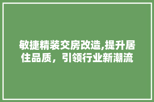 敏捷精装交房改造,提升居住品质，引领行业新潮流