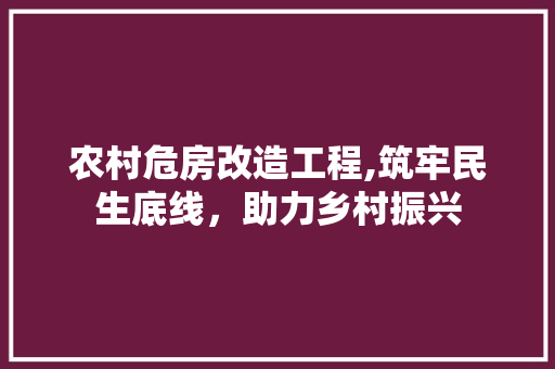 农村危房改造工程,筑牢民生底线，助力乡村振兴