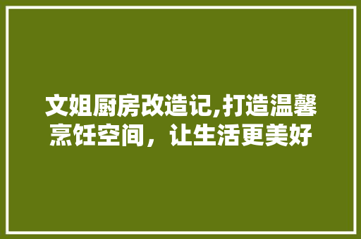 文姐厨房改造记,打造温馨烹饪空间，让生活更美好