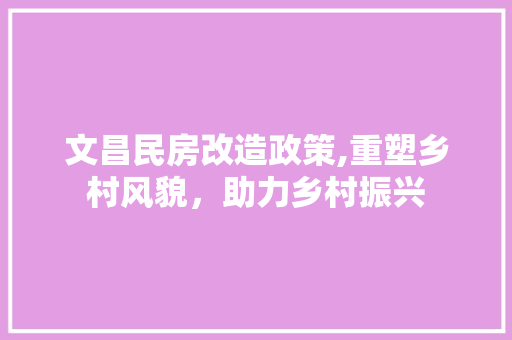 文昌民房改造政策,重塑乡村风貌，助力乡村振兴