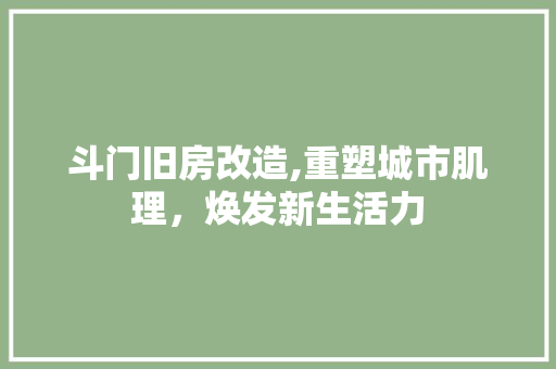 斗门旧房改造,重塑城市肌理，焕发新生活力