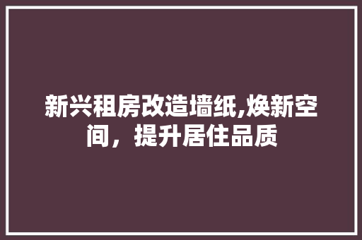 新兴租房改造墙纸,焕新空间，提升居住品质 地面装修