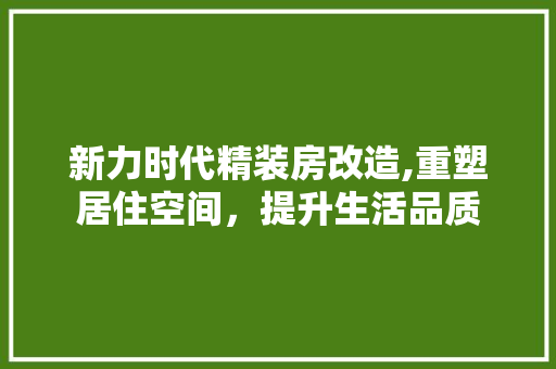 新力时代精装房改造,重塑居住空间，提升生活品质