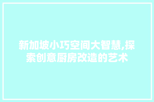 新加坡小巧空间大智慧,探索创意厨房改造的艺术