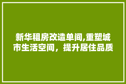 新华租房改造单间,重塑城市生活空间，提升居住品质