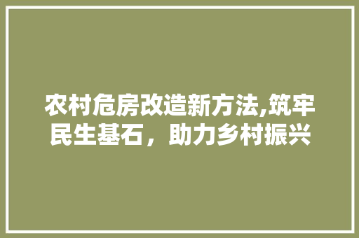 农村危房改造新方法,筑牢民生基石，助力乡村振兴