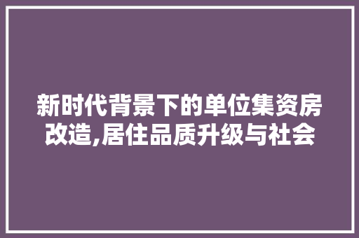 新时代背景下的单位集资房改造,居住品质升级与社会和谐共生 装修材料