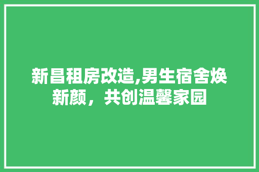 新昌租房改造,男生宿舍焕新颜，共创温馨家园