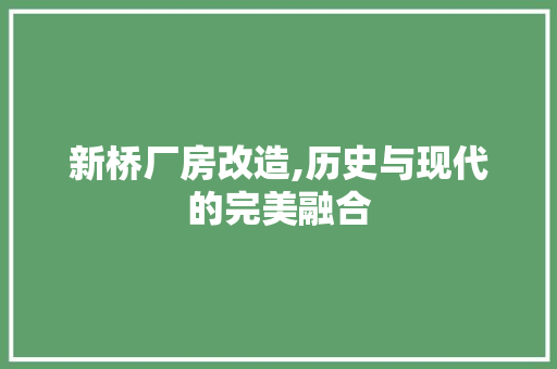 新桥厂房改造,历史与现代的完美融合
