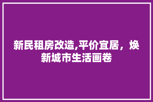 新民租房改造,平价宜居，焕新城市生活画卷