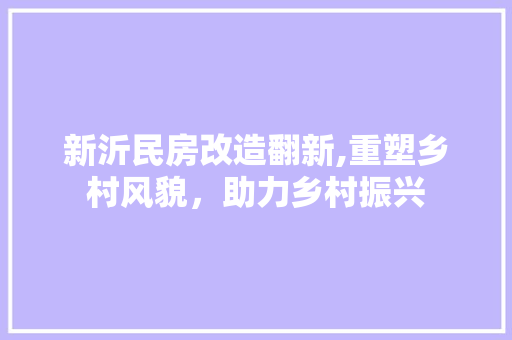 新沂民房改造翻新,重塑乡村风貌，助力乡村振兴