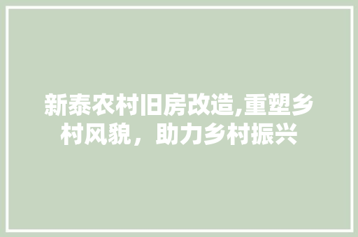 新泰农村旧房改造,重塑乡村风貌，助力乡村振兴 墙面装饰