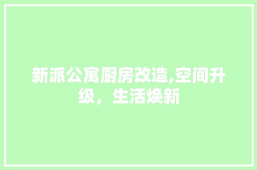 新派公寓厨房改造,空间升级，生活焕新