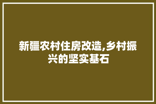 新疆农村住房改造,乡村振兴的坚实基石 装修材料